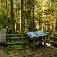 Wanderweg am Naturlehrpfad Granitzenbach
