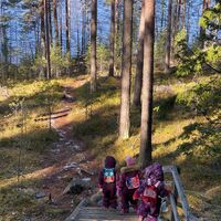 Auf dem Naturlehrpfad Pulkkilanharju