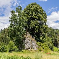 Teufelsstein Jaunstein