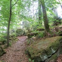 Felsenmeer kurz vo der Burghalde