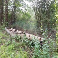 Alter Nachen am Altrhein