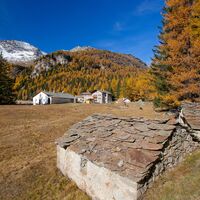 Cavaglia