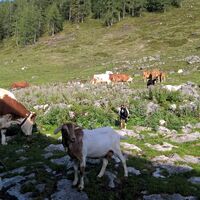 Von der Hindenburghütte ins Hagertal