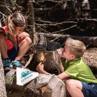 Der Zerstreute Hirte