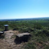 Pfalzblick