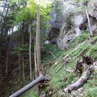 Aufstieg am Höllgrabensteig