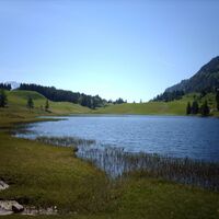 Seewaldsee St.Koloman