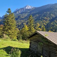 Schöne Almwiese mit Hütte beim Abstieg kurz vor dem Forstweg