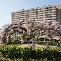 Südgarten KSB Baden