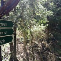 Zwischen Wegespinne und Sieglitzmühle