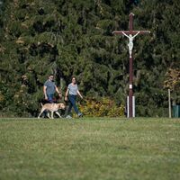 Feldkreuz Brachwiesle an der Heideweg-Tour