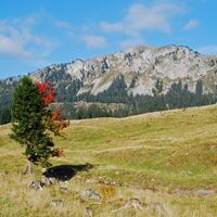 Höllgraben – Durchfall - Donnerwand - Spielkogel