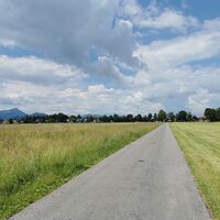 Weg Richtung Schwangau