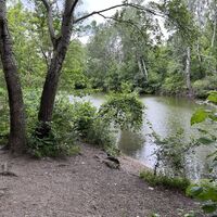 Nach Querung der Hauptallee dann am Ufer des 'Heustadelwassers' entlang..