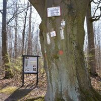 Station 5 des Geopfads Salzgitter-Lichtenberg