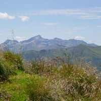 die Hochwildstelle im Hintergrund