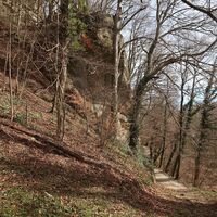 Weg in Chramburgwald - Belpberg-Chutzen Wanderung