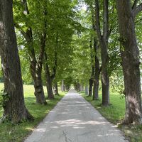 Nach dem Friedhof eine Allee runter ..