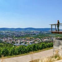 Luitenbächer Höhe Weinstadt