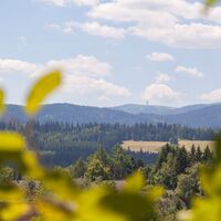 Breitnau mit Blick auf den Feldberg