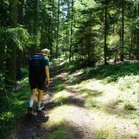 Wanderer im Wald_Romaischlucht_St. Jakob im Walde_Oststeiermark