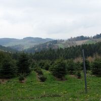 Aussicht beim Nonnersdorfer Kreuz