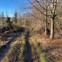 Trail Tour 47
