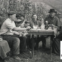 Historisches Bild aus den Glottertäler Weinbergen