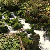 Bühlerbachursprung