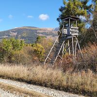 Hochstand