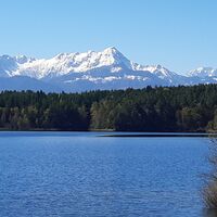 Forstsee