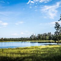 Wildseemoor am Kaltenbronn