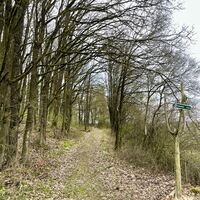 Rundweg am Goethestein