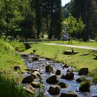 Die renaturierte Alb schlängelt sich durch den Kurpark.
