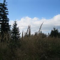 Laimbach a. Ostrong - Ybbs a. d. Donau