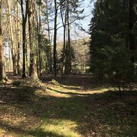 Zwischen Mönchskopf und Sonnenkopf