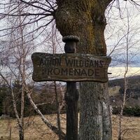 Anton Wildgans Promenade