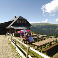 Saualpe - Ladingerhütte