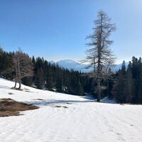 Veitsch Blick