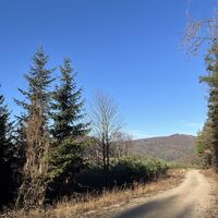 Ab dem Aussichtsplatzerl dann wieder leicht bergab, im Hintergrund der Sagberg (Vorgipfel des Roßgipfels - eine Variante für Konditionsstärkere)