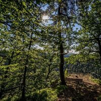 Aussichtspunkt Hohfluhfelsen