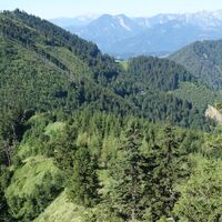 Ausblick am Burgspitz