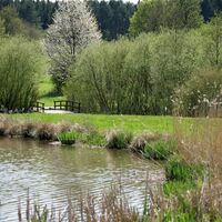 bolsdorfer-taelchen-regnery03
