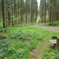 15.4 km Rastplatz bei Wildbach beim Uphill