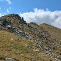 Steineck