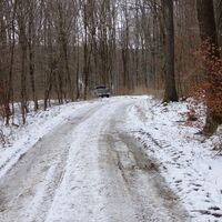 Am Weg Richtung Windischhütte
