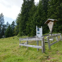 kurz vor der Bärenfeuchtalm kommen wir an dem Marterl vorbei