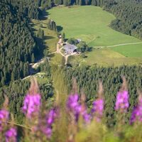 Feldberg