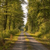 Herbsth user Bierwanderweg Herbsthausen Wandern Bad Mergentheim 14