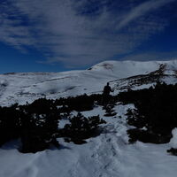 Schneebergdörfl - Hochschneeberg